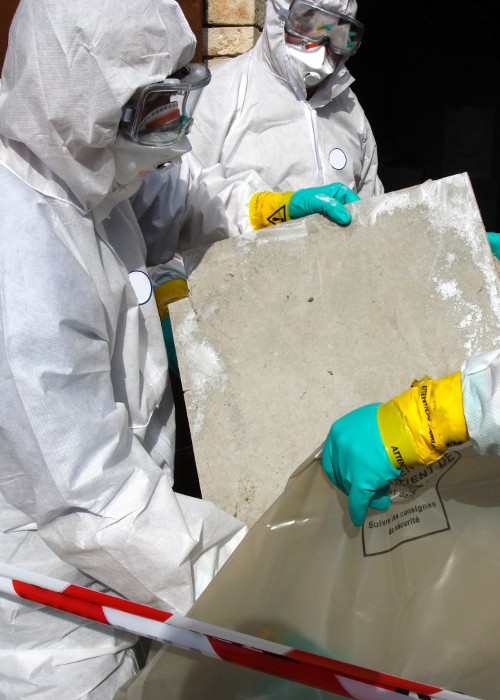 Kyalami Stands Scaffolding